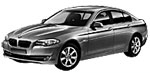 BMW F10 P262A Fault Code